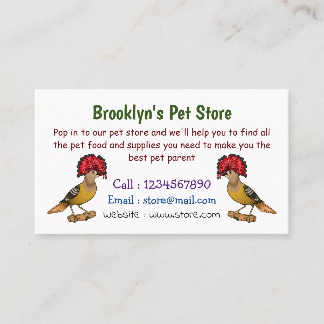 Royal flycatcher bird cartoon illustration business card (Front)