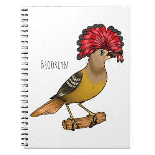 Royal flycatcher bird cartoon illustration notebook