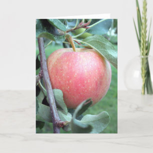 Royal Gala Apple Card