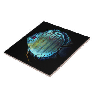 Royal Green Discus Tile