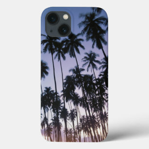 Royal Kupuva Palm Grove at Kaunakakai iPhone 13 Case
