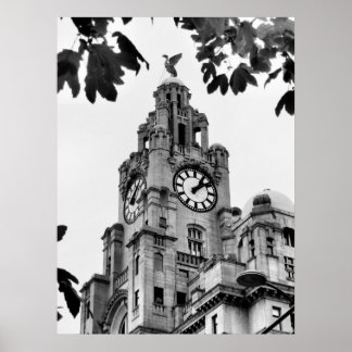 Royal Liver Building Liverpool Poster