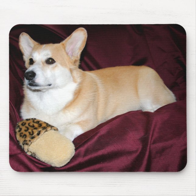 Royal Looking Pembroke Welsh Corgi Mouse Pad (Front)