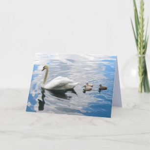 Royal Mute Swan and Cygnet Folded Greeting Card
