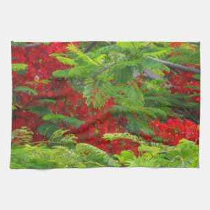 Royal Poinciana Kitchen Towel
