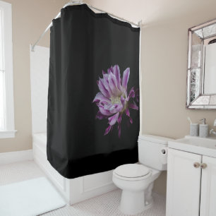 Royal Purple and White bloom