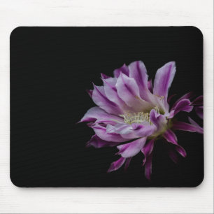 Royal Purple and White cactus bloom Mouse Pad