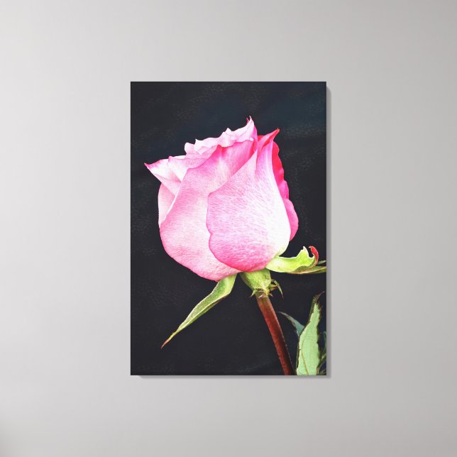 Royal Rose Canvas Art (Front)