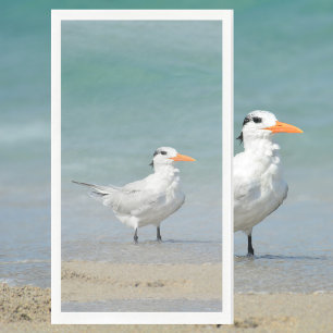 Royal Tern Coastal Beach Photographic Napkin