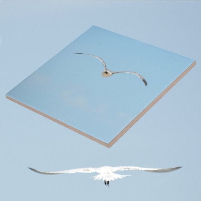 Royal Tern in Flight Coastal Sky Blue Tile (1 of 7 coordinating coastal sky blue ceramic tiles with Royal Terns in flight)