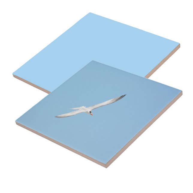 Royal Tern in Flight Coastal Tile (1 of 7 coordinating Royal Terns in Flight ceramic tiles)