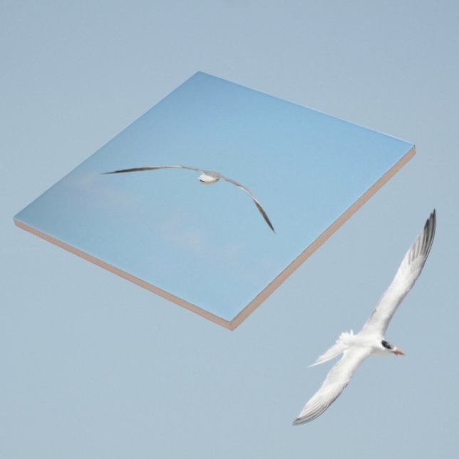 Royal Tern in Flight Wings Spread Sky Coastal Blue Tile (Creator Uploaded)