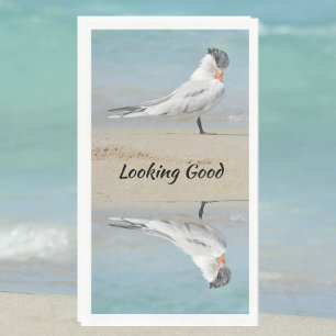 Royal Tern Napkin