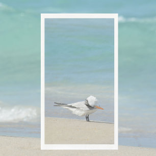 Royal Tern on Beach Seabird Photography Napkin