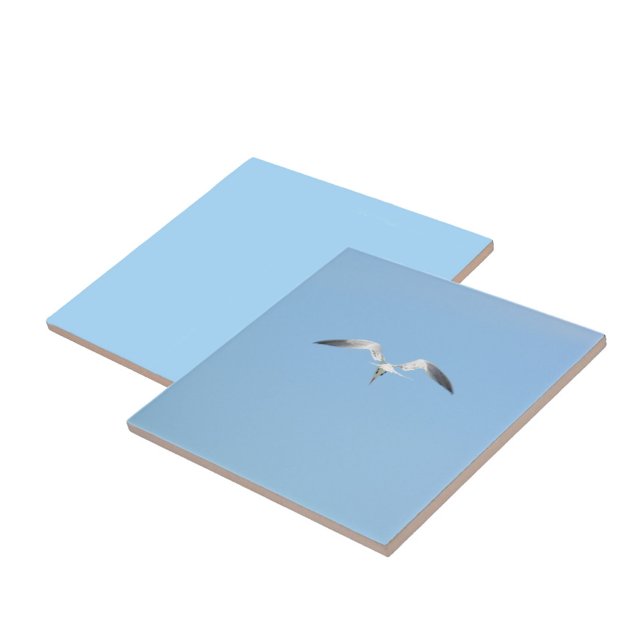 Royal Tern Seabird in Flight Sky Blue Tile (1 of 7 coordinating sky blue Seabird in flight ceramic tiles)