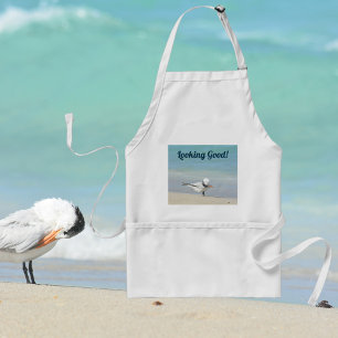Royal Tern Seabird on Beach Looking Good Standard Apron