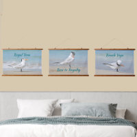 Royal Tern Seabirds Beach Photographic Coastal