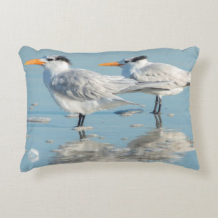 Royal Terns on beach Accent Pillow