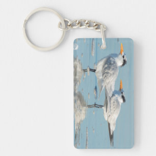 Royal Terns on beach Keychain