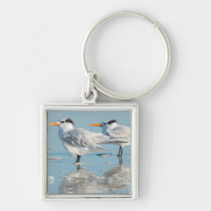 Royal Terns on beach Keychain