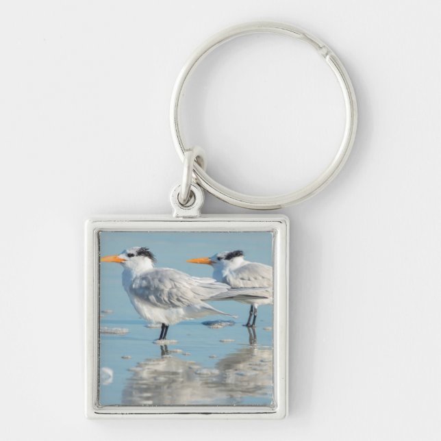 Royal Terns on beach Keychain (Front)