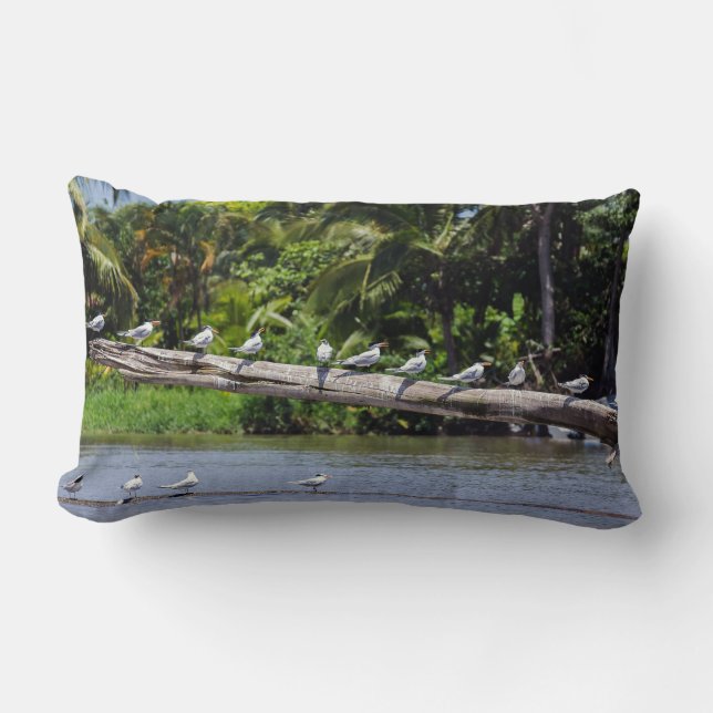 Royal terns, Tortuguero river estuary - Costa Rica Lumbar Pillow (Front)