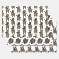 Royaume de Raton Laveur : Papier Cadeau Fantaisist