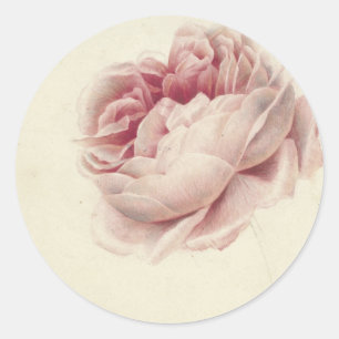 Roze Roos (1792) – Timeless Vintage Botanical Art Classic Round Sticker