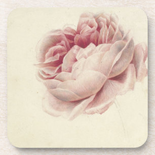 Roze Roos (1792) – Timeless Vintage Botanical Art Coaster