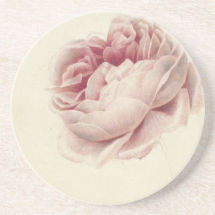Roze Roos (1792) – Timeless Vintage Botanical Art Coaster