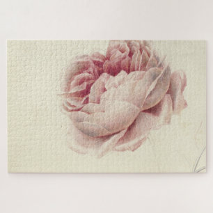 Roze Roos (1792) – Timeless Vintage Botanical Art Jigsaw Puzzle