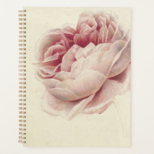 Roze Roos (1792) – Timeless Vintage Botanical Art Planner