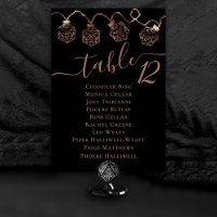 RPG Lights | Copper Tabletop Roleplayer Guest Name