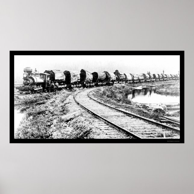 RR Train with Redwood Logs 1919 Poster (Front)