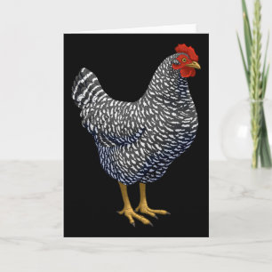 Rred Plymouth Rock Hen Chicken Lover Card