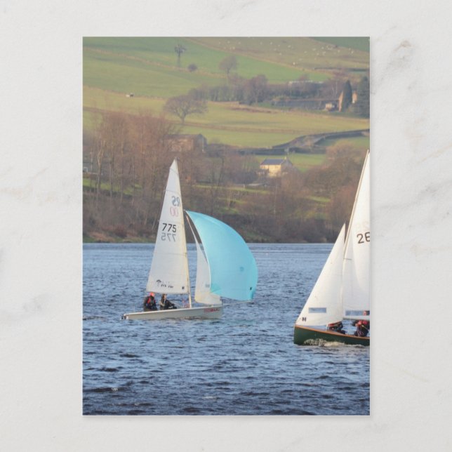 RS200 And Firefly Dinghies Postcard (Front)