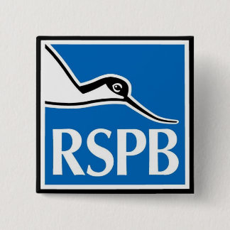 RSPB 2 INCH SQUARE BUTTON