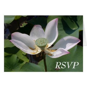 RSVP