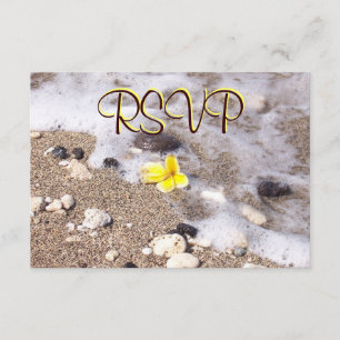 RSVP Guest Reply Enclosure Seashells, Plumeria