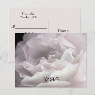 RSVP Postcard, Any Occasion Invitation Postcard