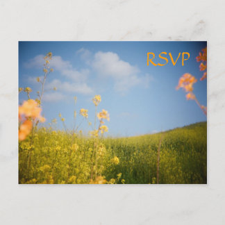 RSVP Postcard Flower Field
