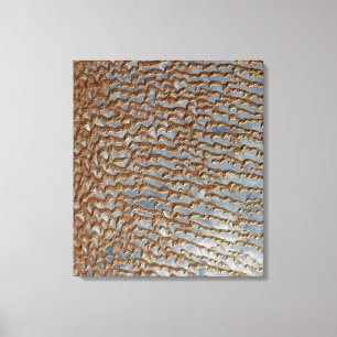 Rub' al Khali, Arabia Canvas Print