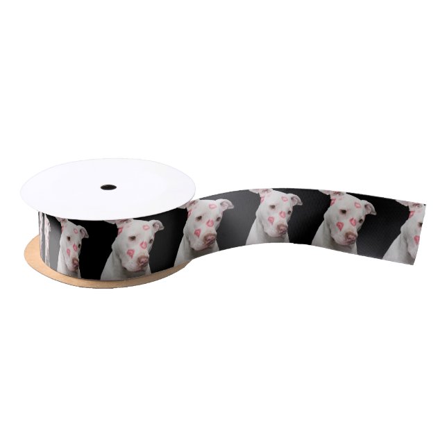 Ruban En Satin Amant Editable de Pitbull (Bobine)