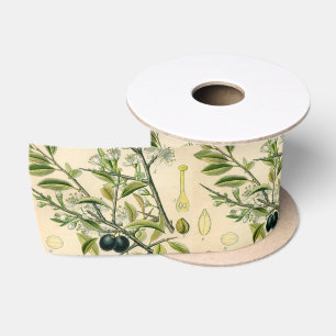Ruban En Satin Antique Blackthorn Botanique Imprimé Fleur Berry