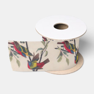 Ruban En Satin Audubon Peint Bunting Bird Wildlife
