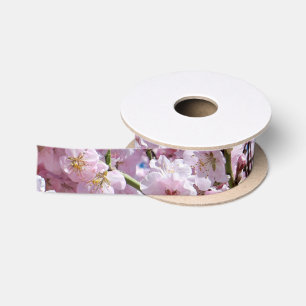 Ruban En Satin Belles fleurs de cerisiers de printemps