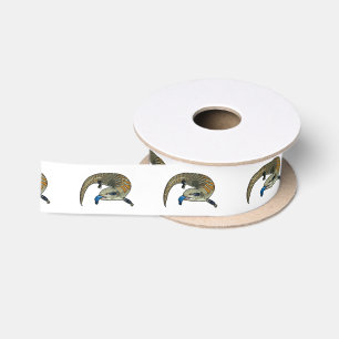 Ruban En Satin Caricature en bleu