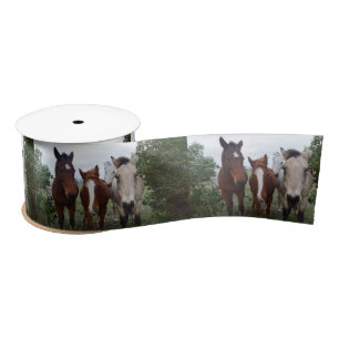Ruban En Satin Cheveux Frisqués : De Bons Problèmes De Cheval,