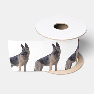 Ruban En Satin Chien berger allemand noir et tan 