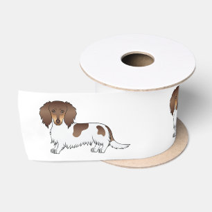 Ruban En Satin Chien teckel à poil long piebalde chocolat et fauv